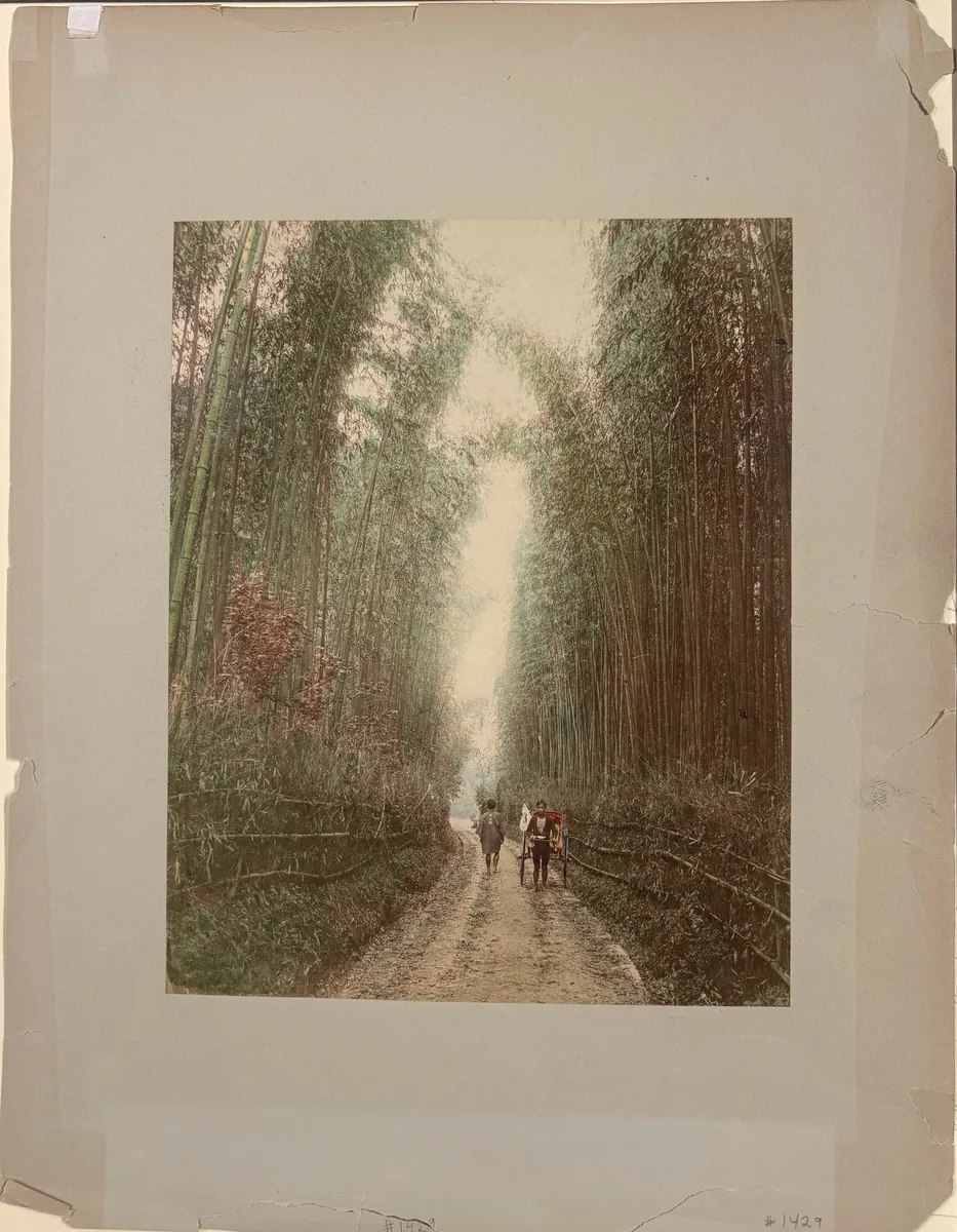 Bamboo Avenue with Jinrikisha, Japan